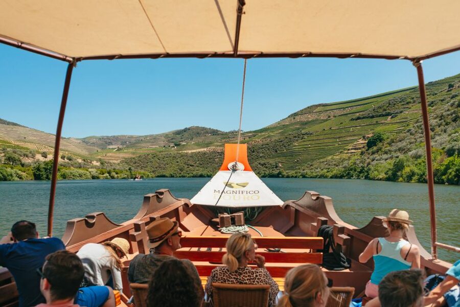 Douro Valley: Wine Tour with Lunch, Tastings & River Cruise - The scenic return along the N222
