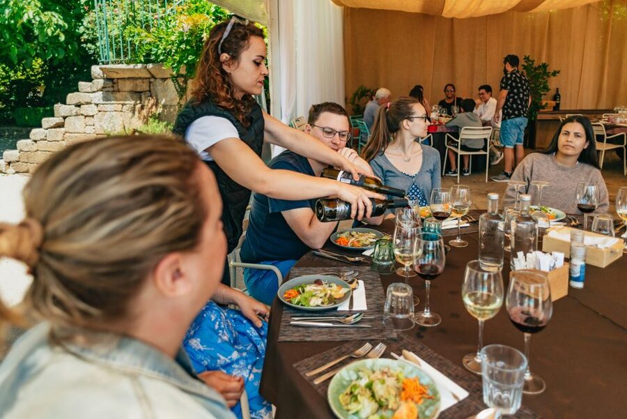 Douro Valley: Wine Tour with Lunch, Tastings & River Cruise - Why the Douro Valley works best as a full-day trip