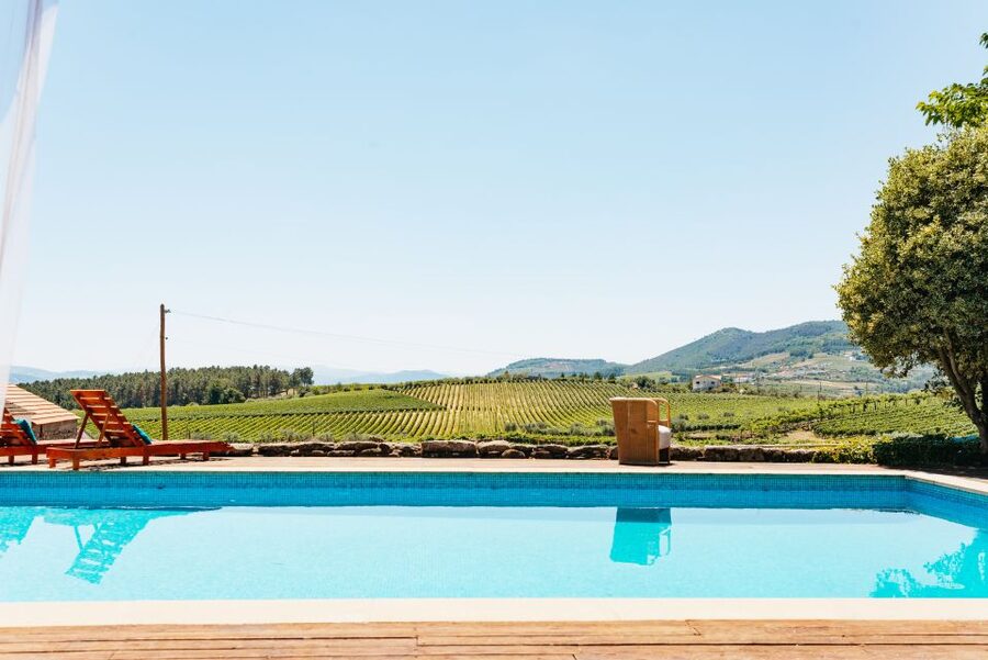 Douro Valley: Wine Tour with Lunch, Tastings & River Cruise - Sabrosa and the family wine estate