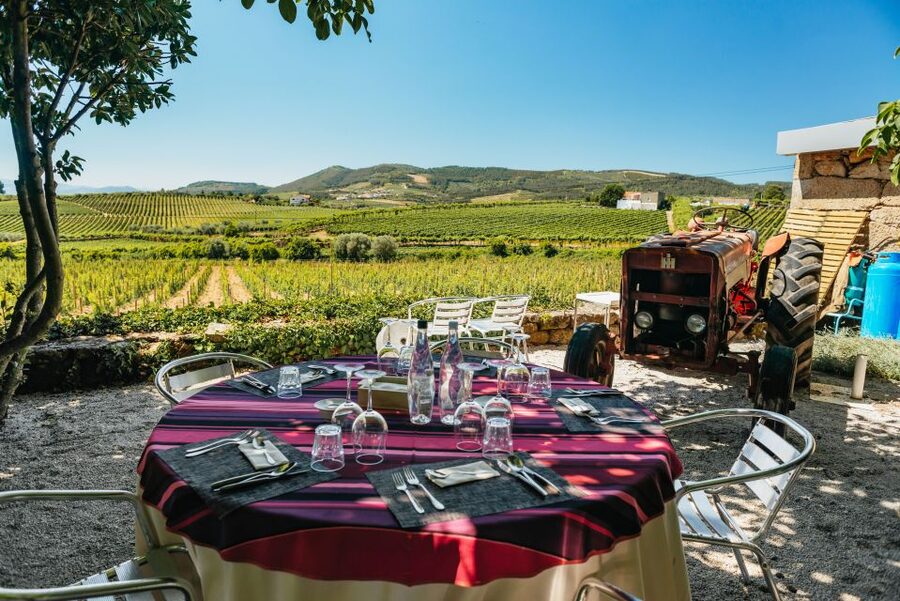 Douro Valley: Wine Tour with Lunch, Tastings & River Cruise - Why the vineyard lunch is worth your time