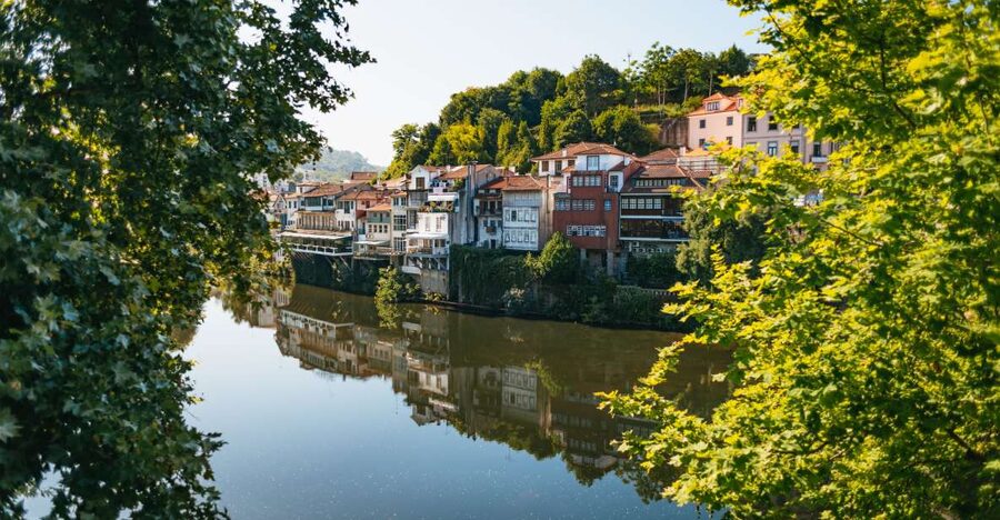 Douro Valley: Wine Tour with Lunch, Tastings & River Cruise - The second estate, and a different side of Port wine