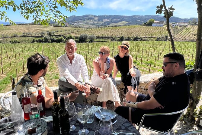 Douro Valley Wine Tour with Tastings, Boat Ride & Lunch - The cellar visit and older Ports after lunch