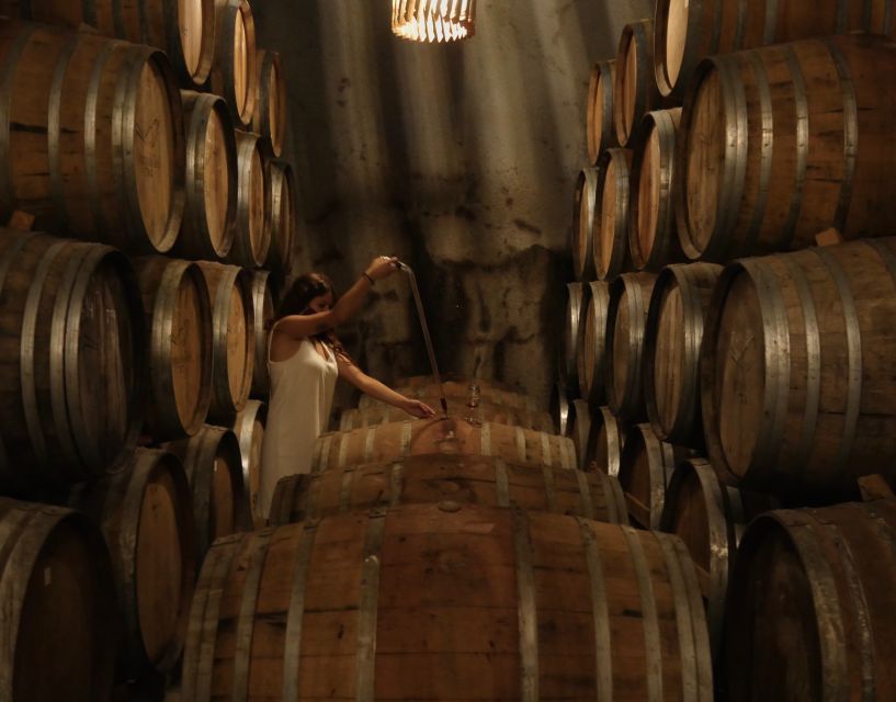 Douro Valley: Winery Tour at Quinta do Tedo and Tastings - Should you book this Douro Valley winery visit?