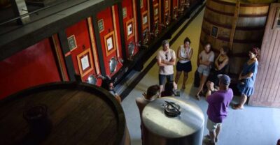 Douro Valley: Winery Tour at Quinta do Tedo and Tastings