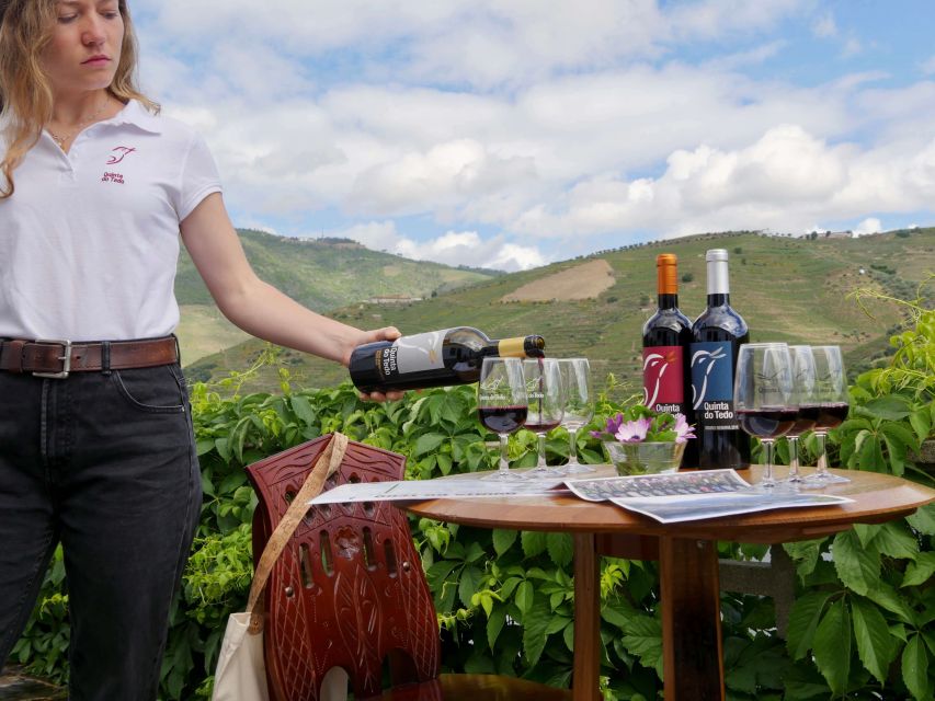 Douro Valley: Winery Tour at Quinta do Tedo and Tastings - How the short schedule shapes your visit
