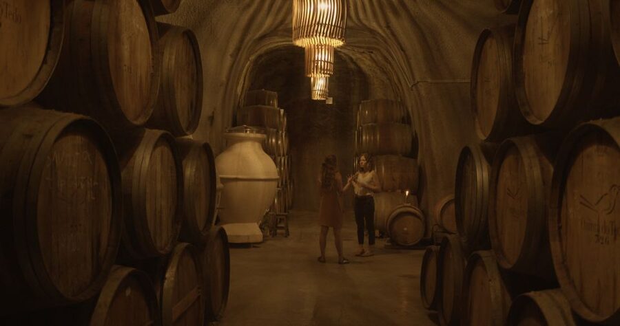 Douro Valley: Winery Tour at Quinta do Tedo and Tastings - Booking details that matter