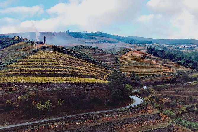 Douro Valley with Two Winery, Boat Trip and Lunch From Porto - Why This Douro Valley Day Trip Works