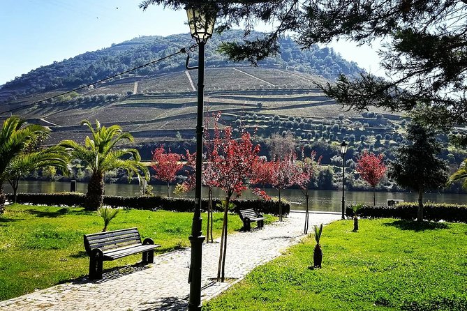 Douro Valley with Two Winery, Boat Trip and Lunch From Porto - Seeing Pinhão From the Douro River