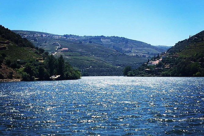 Douro Valley with Two Winery, Boat Trip and Lunch From Porto - The Smaller Winery and Olive Oil Producer