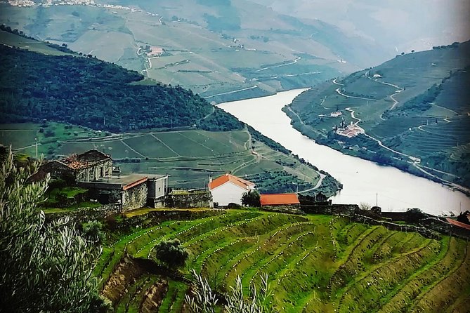 Douro Valley with Two Winery, Boat Trip and Lunch From Porto - Quinta do Seixo and Sandeman