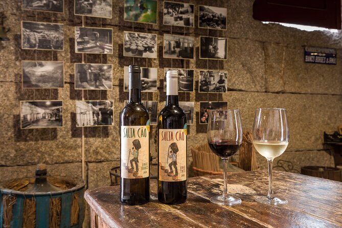 Douro & Vinho Verde: Family Wineries Private Tour in Portugal - The final hour belongs to the Douro views
