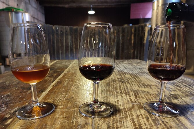 Douro & Vinho Verde: Family Wineries Private Tour in Portugal - The pace, group size, and practical tradeoffs