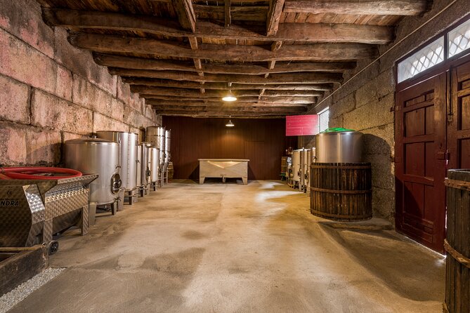 Douro & Vinho Verde: Family Wineries Private Tour in Portugal - Who will enjoy this Douro wine tour most