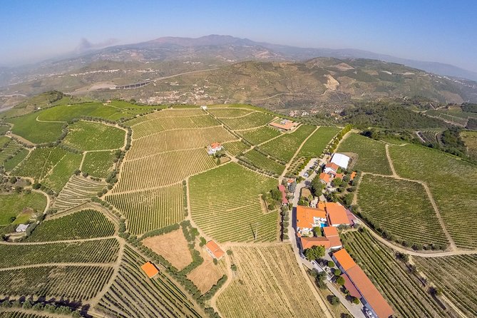 Driver with Private Vehicle in the Douro Valley - Why a private car makes sense in the Douro Valley