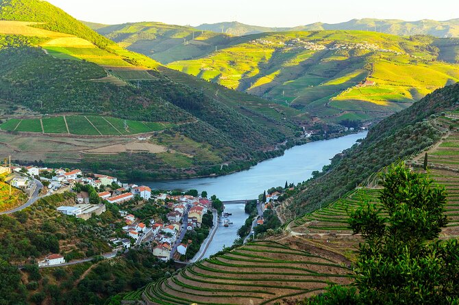 Driver with Private Vehicle in the Douro Valley - National Road 222, one of the day’s best drives