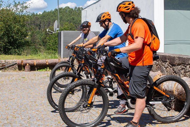 E-Bike Tour - Small-group format and the guide option