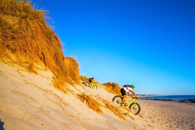 E-Bike Wild Experience with Transport from Porto and Braga - Dunes, pine trees, and the Atlantic beach