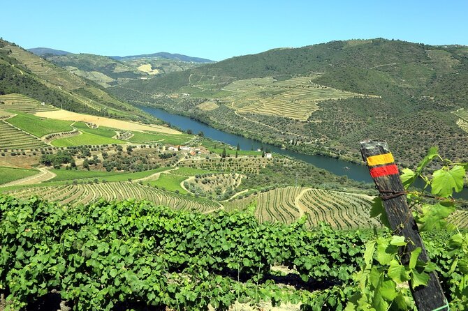 Ervedosa do Douro Walking Tour - Key points to know before booking