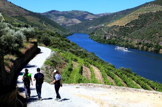Ervedosa do Douro Walking Tour - Walking among the Douro’s vineyard terraces