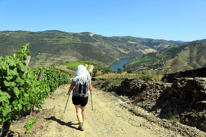 Ervedosa do Douro Walking Tour - The picnic and lunch break