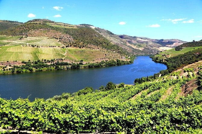 Ervedosa do Douro Walking Tour - Quinta do Bomfim and the port tasting