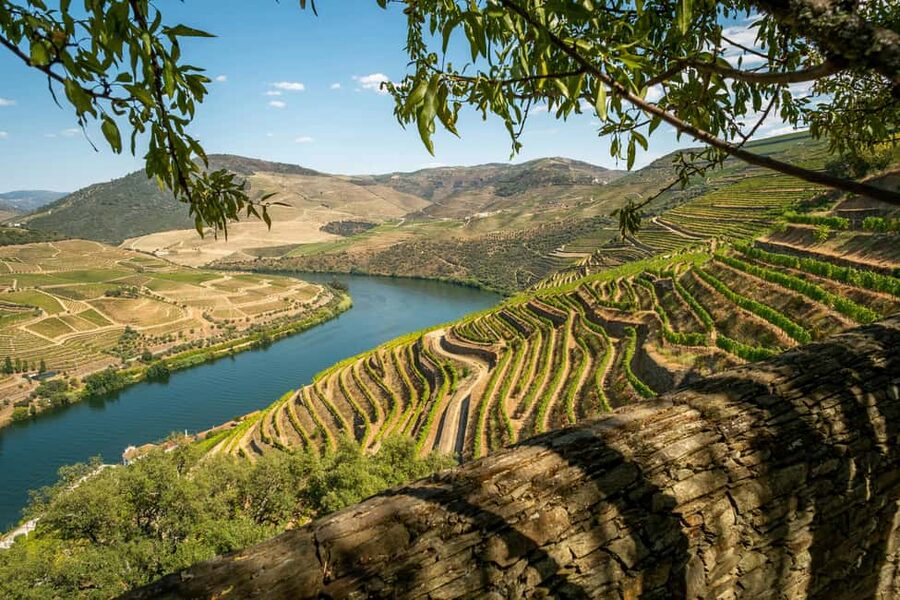 Exclusive Douro Valley: 3 Wineries, 9 Wine Tastings & Lunch - Why this makes a good first Douro Valley outing