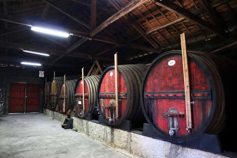 Exclusive Douro Valley: 3 Wineries, 9 Wine Tastings & Lunch - The scenic road into the Douro Valley