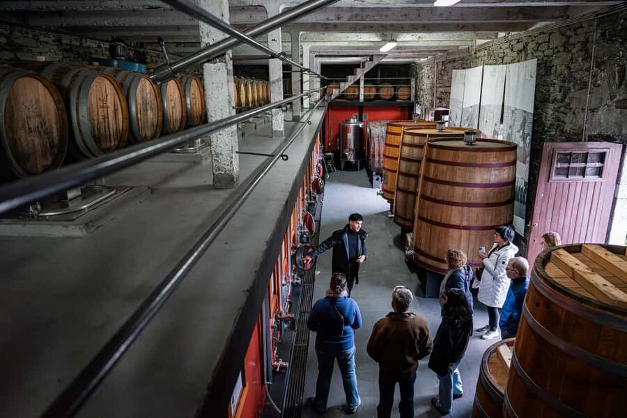 Exclusive Douro Valley: 3 Wineries, 9 Wine Tastings & Lunch - First winery: how Port wine is made