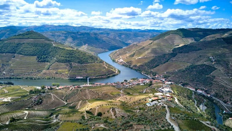 Exclusive Douro Valley: 3 Wineries, 9 Wine Tastings & Lunch - Second winery: another view of Douro wine