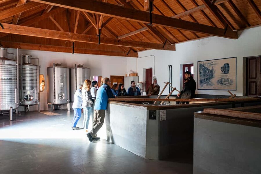 Exclusive Douro Valley: 3 Wineries, 9 Wine Tastings & Lunch - Nine tastings, Port styles, and pacing yourself