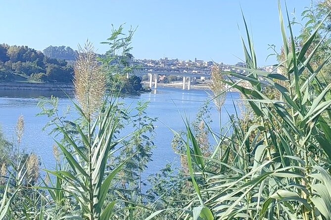 Excursion in Porto for sport lovers - What the $0 price really tells you