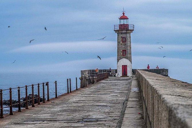 Experience Porto by Bike: 3-Hour Private Tour - City Park and Pasteleira: the green return route