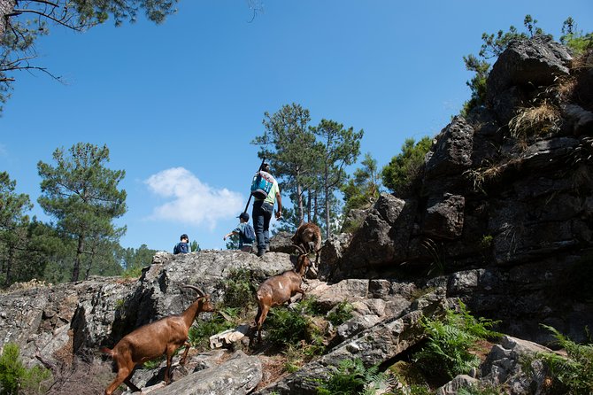 Fisgas de Ermelo Trail - Meeting local people and seeing village traditions