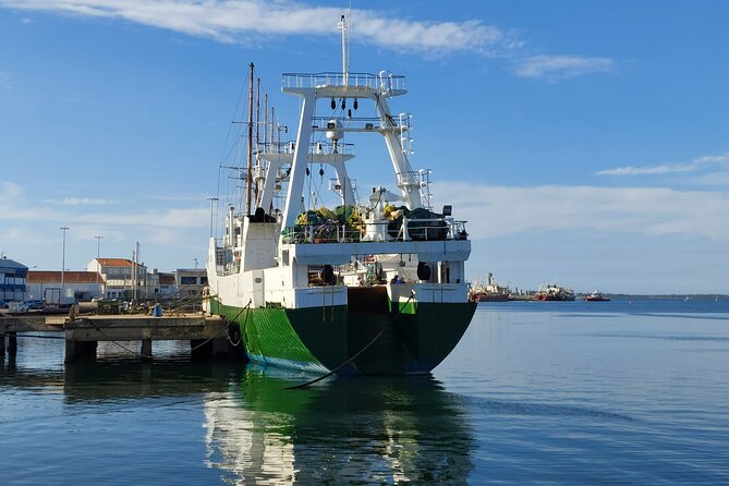 From Aveiro: Costa Nova, Barra, Vista Alegre - Half-Day Trip - Tony Walker’s guiding style