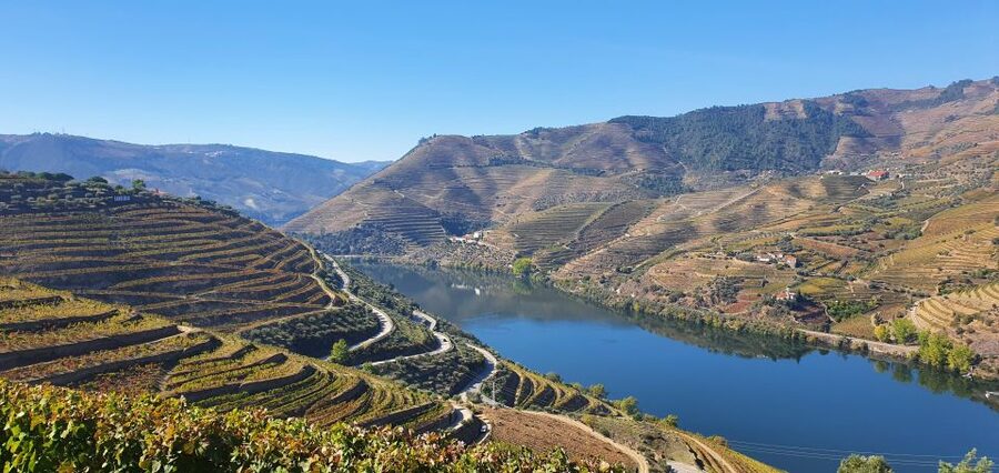 From Gaia Douro Valley Tour Wine Tasting River Cruise Lunch - Tasting Douro wine at the source