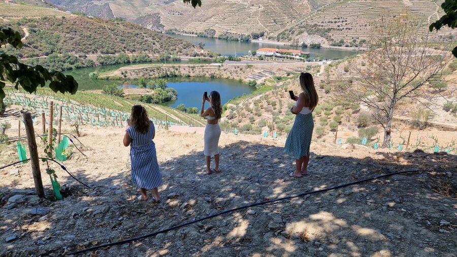 From Gaia Douro Valley Tour Wine Tasting River Cruise Lunch - A brief stop in Peso da Régua