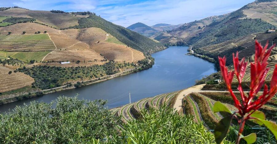 From Peso da Régua: Visit 3 wineries, tasting and viewpoint - Key points to know before booking