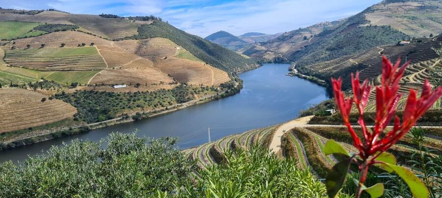 From Peso da Régua: Visit 3 wineries, tasting and viewpoint - Why this Douro Valley tour works well from Peso da Régua