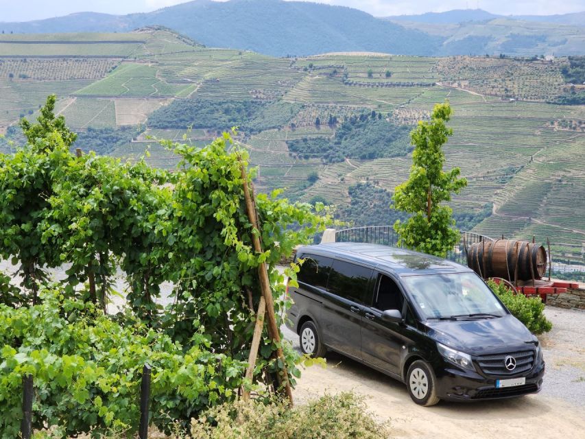 From Peso da Régua: Visit 3 wineries, tasting and viewpoint - Second tasting: another view of Douro wine
