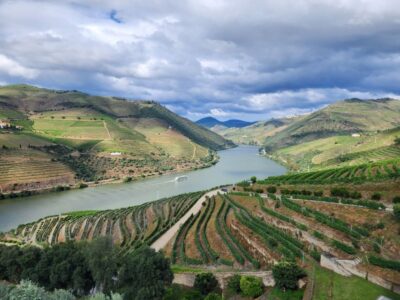 From Peso da Régua: Visit 3 wineries, tasting and viewpoint