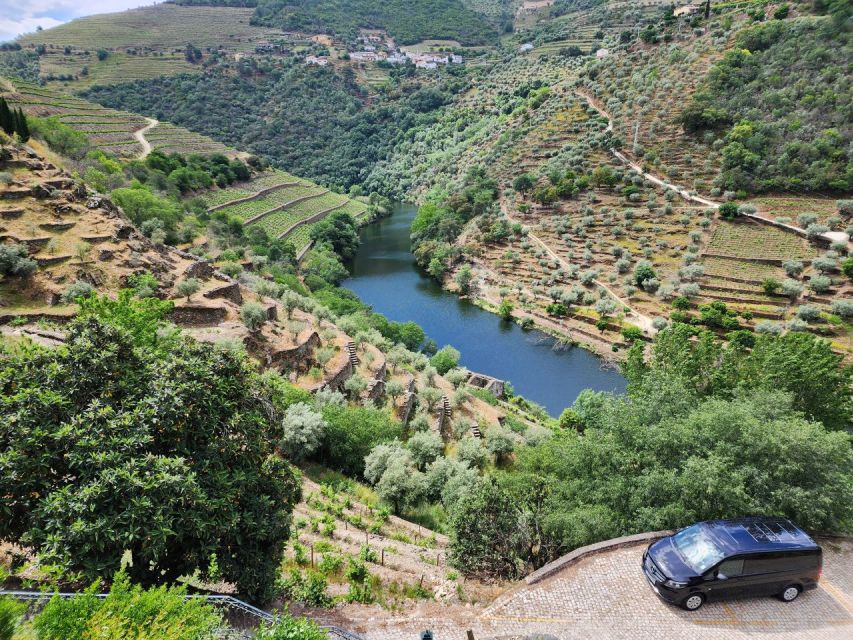 From Peso da Régua: Visit 3 wineries, tasting and viewpoint - The small wine and olive oil producer