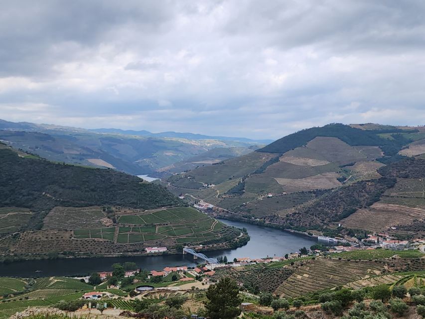 From Peso da Régua: Visit 3 wineries, tasting and viewpoint - The Douro viewpoint and the views that make the drive worthwhile