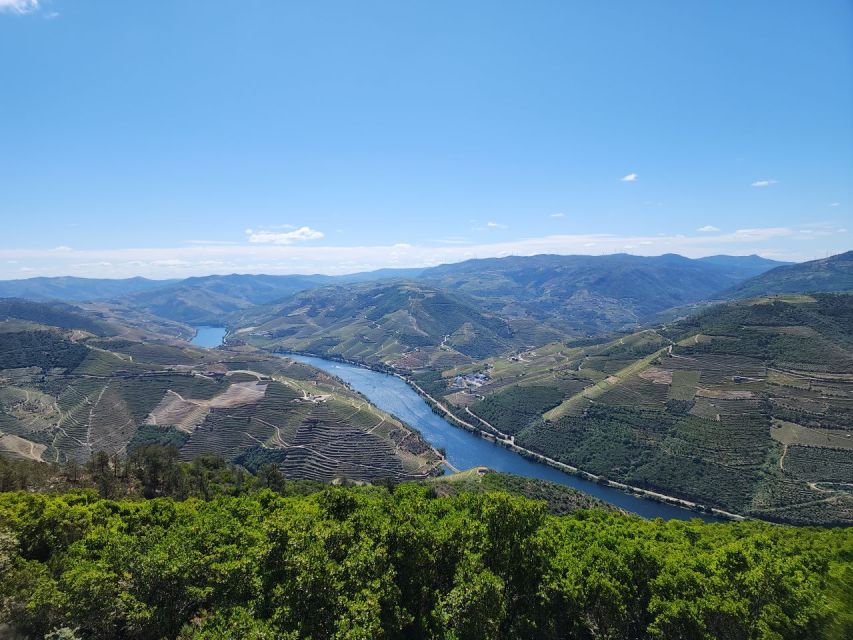From Peso da Régua: Visit 3 wineries, tasting and viewpoint - Seven hours with the driving taken care of