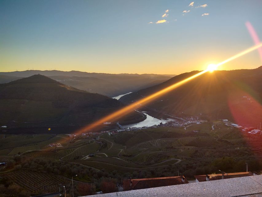 From Peso da Régua: Visit 3 wineries, tasting and viewpoint - What the $216 price really buys you