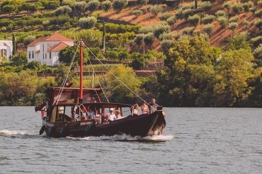 From Pinhão: Douro Valley Rabelo Boat Tour with Audio Guide - Under the Eiffel Bridge near Pinhão