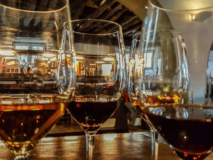 From Pinhão: Douro Valley Tour w/ Wine Tasting and Boat Trip - Port, table wine, and what you actually taste