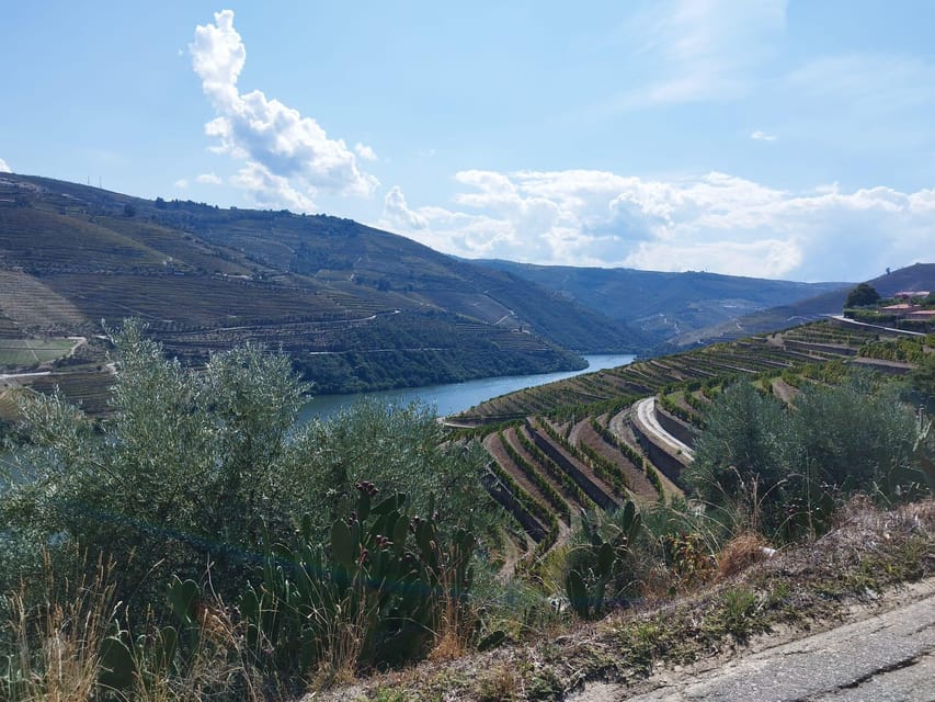 From Pinhão: Douro Valley Tour w/ Wine Tasting and Boat Trip - How the $64 price works out