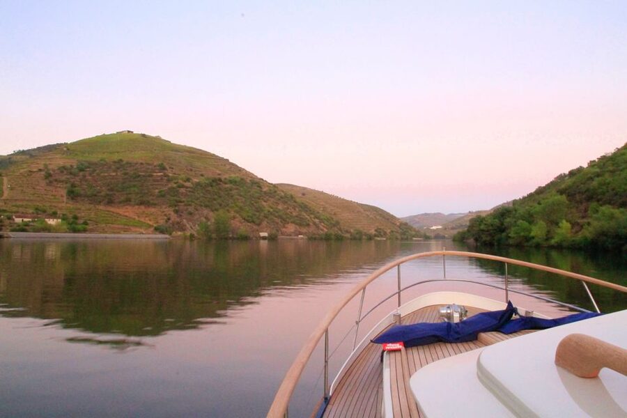 From Pinhão: Private Yacht Cruise along the Douro River - Seeing the vineyards from below