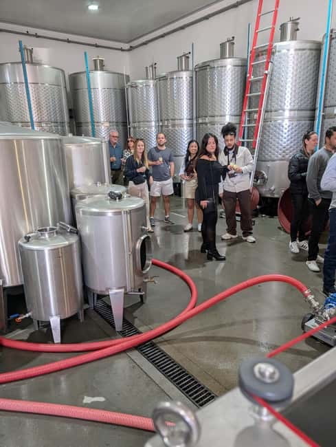 From Porto: 2 Wine Regions, Farm-to-Table Lunch & Boat - Who should book this experience?