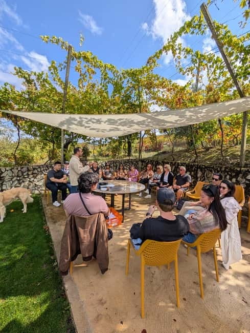 From Porto: 2 Wine Regions, Farm-to-Table Lunch & Boat - The fire-opened Vintage Port